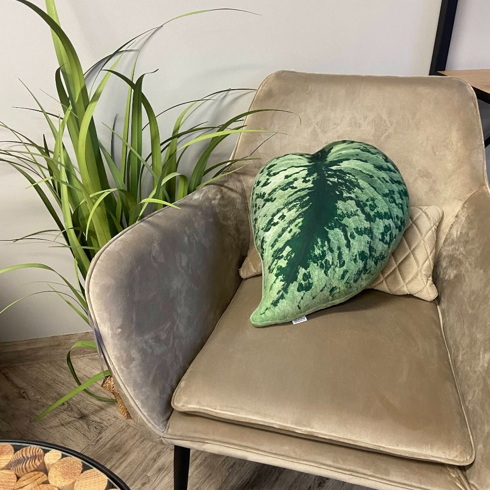 scindapsus leaf pillow