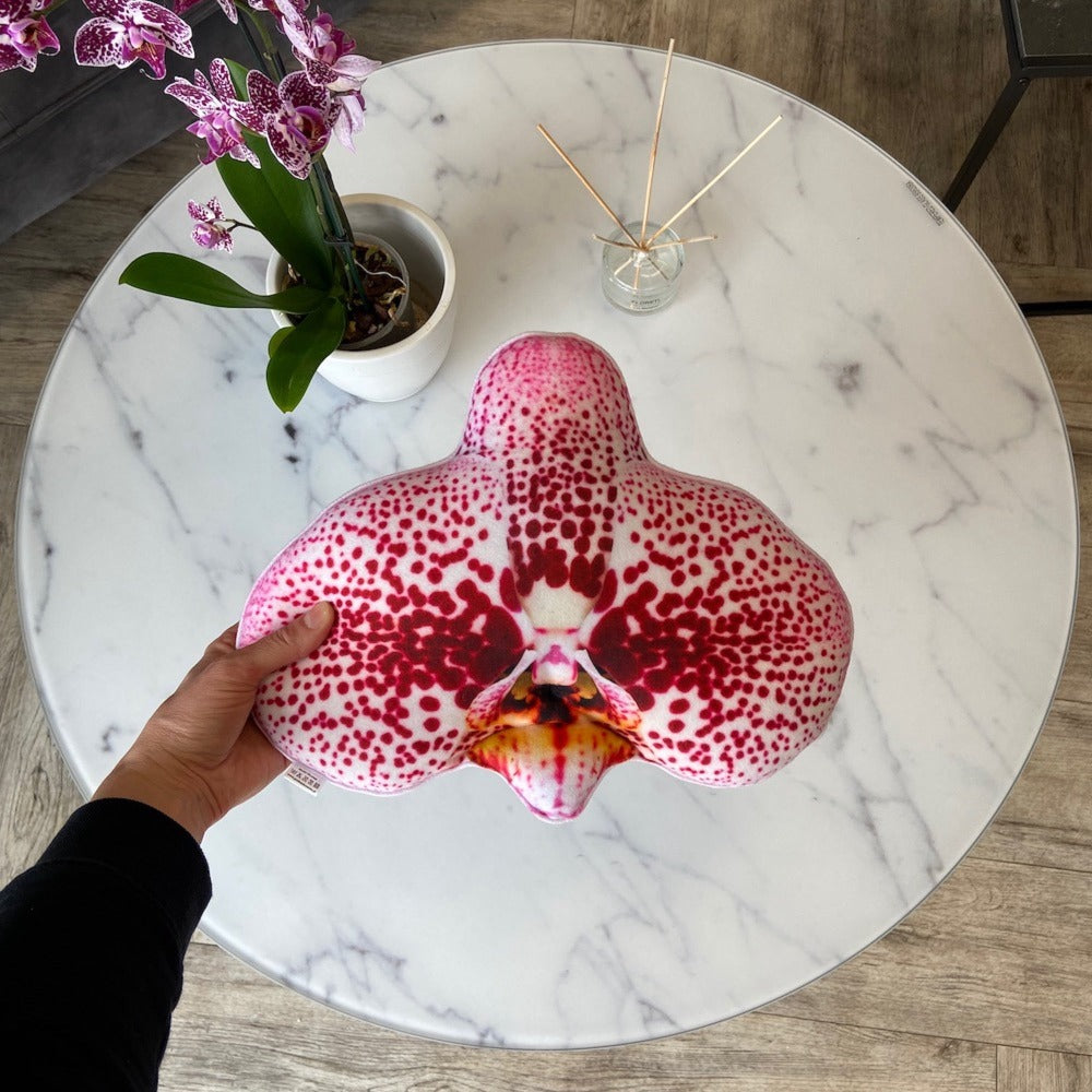 orchid pillow