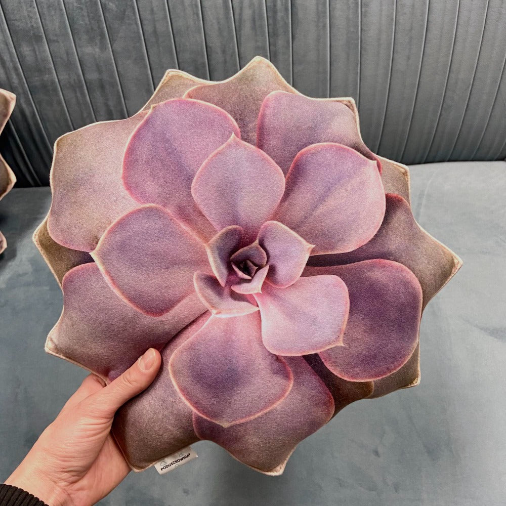 succulent pillow