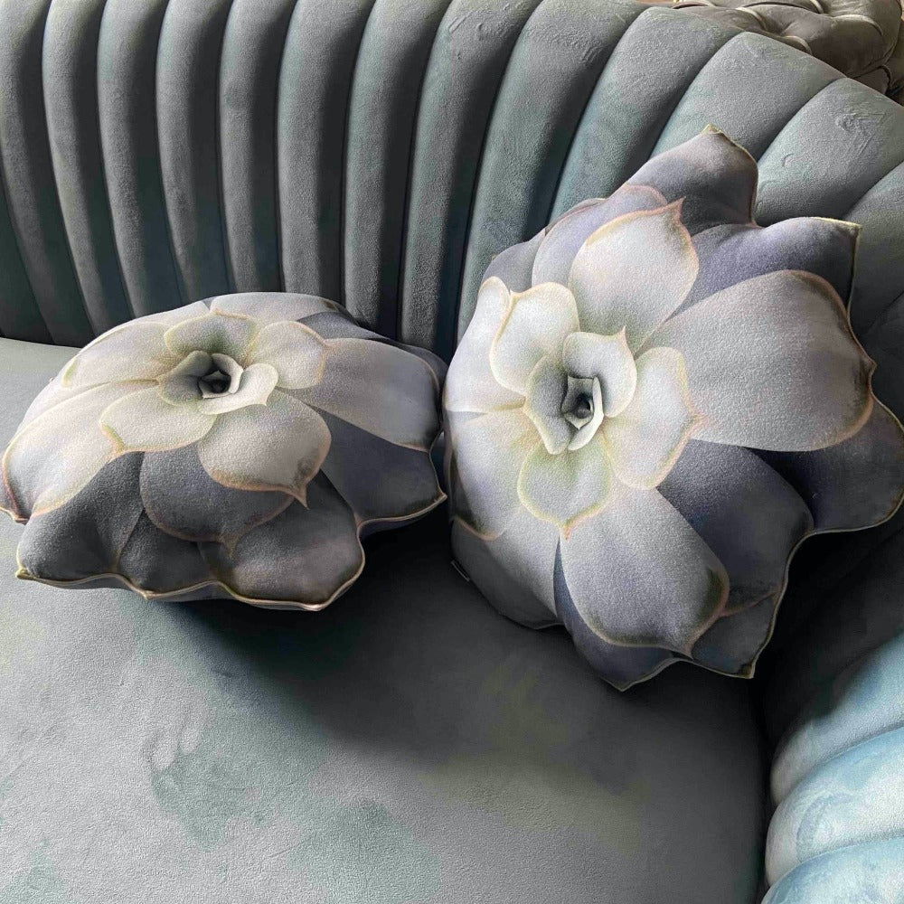 succulents pillows