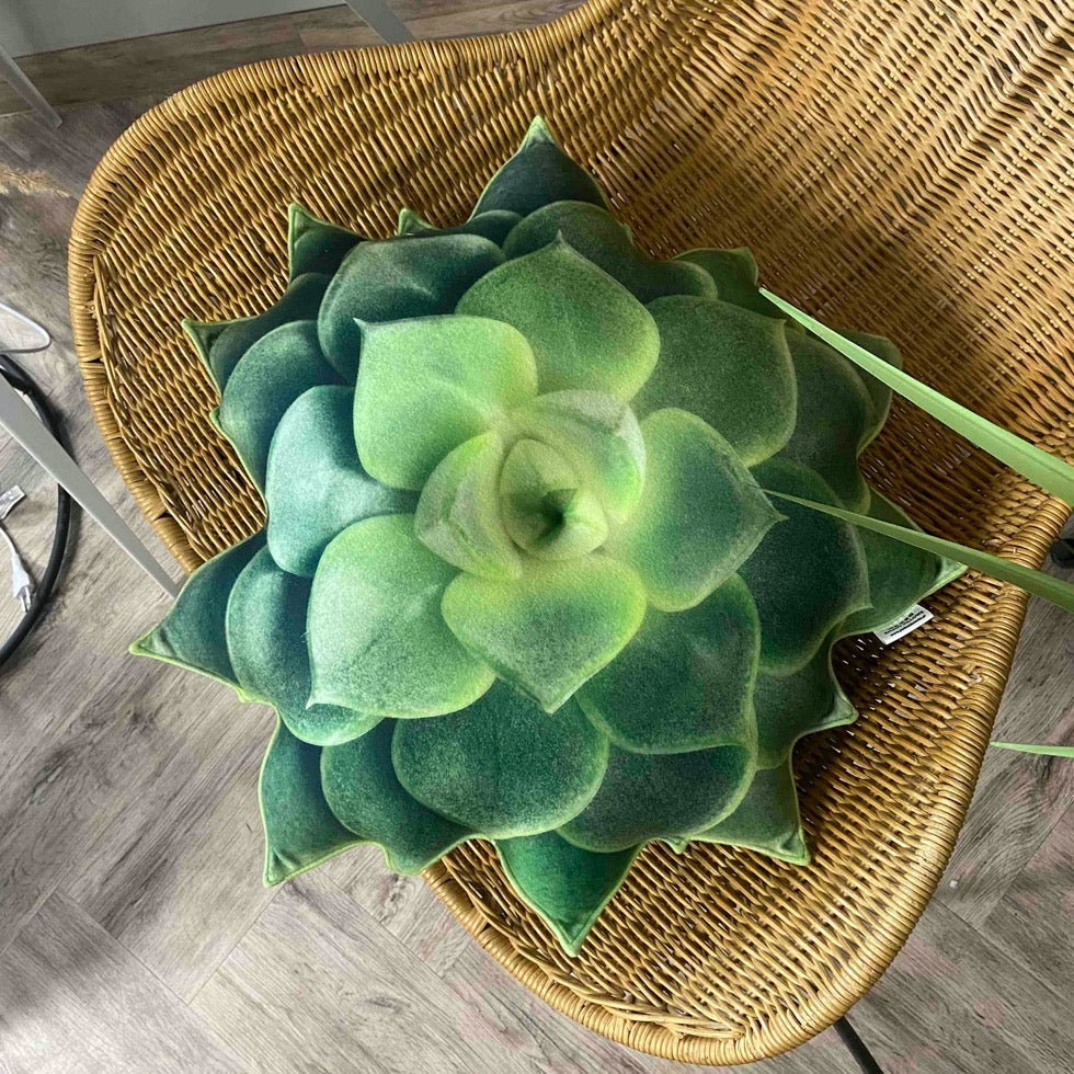 succulent cushion enjoy pillows
