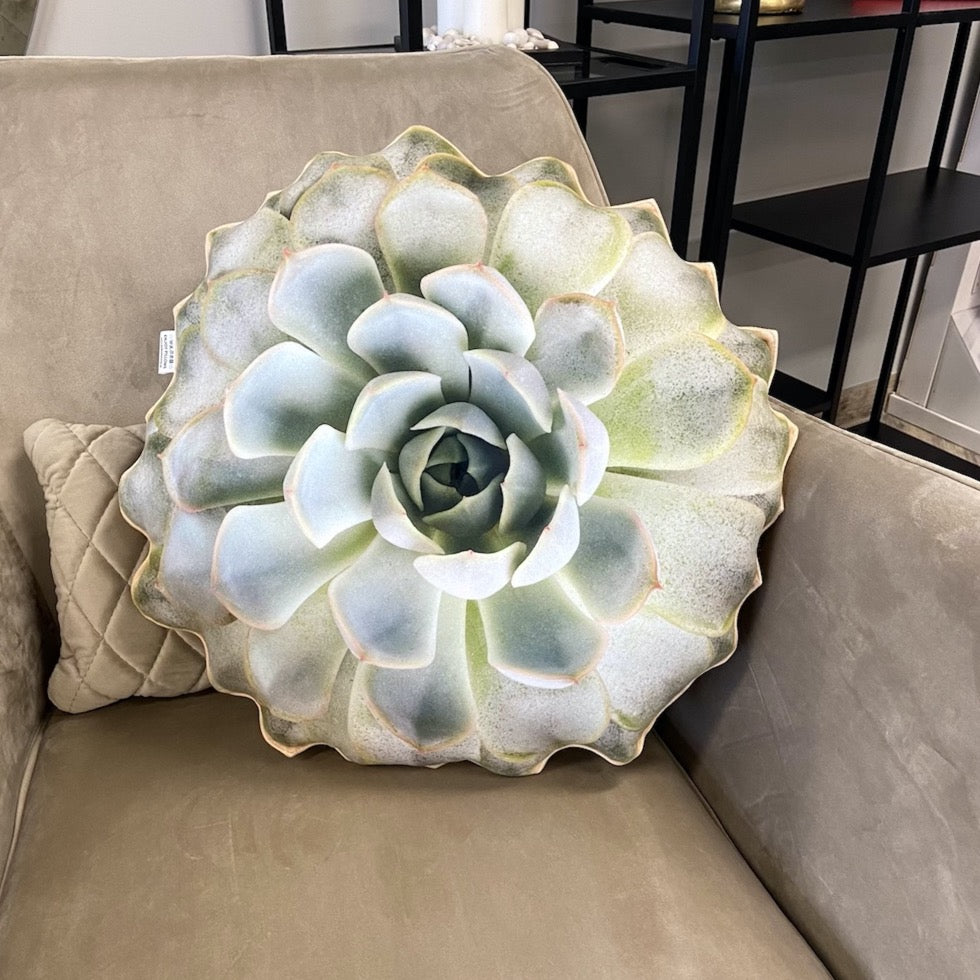 succulent realistic pillow
