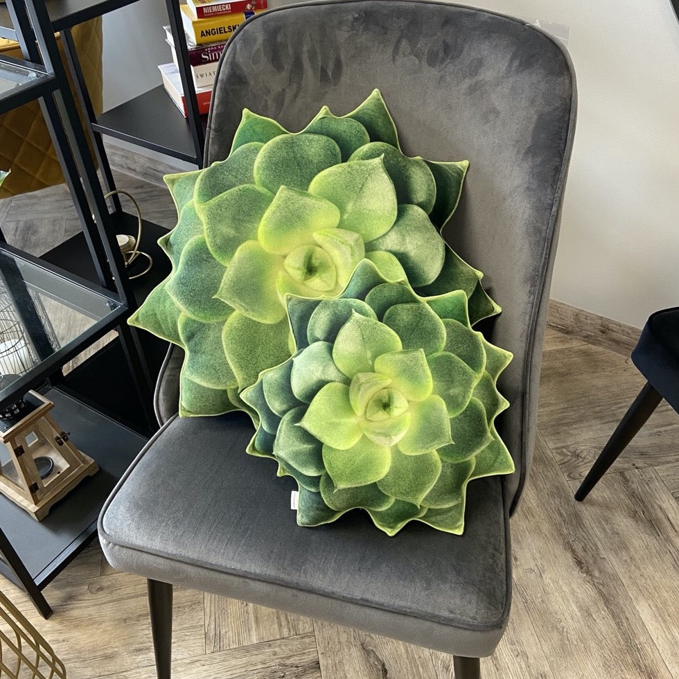 plush succulent pillow small size succulent green pillow / echeveria pillow / succulent cushi – Enjoy Pillows