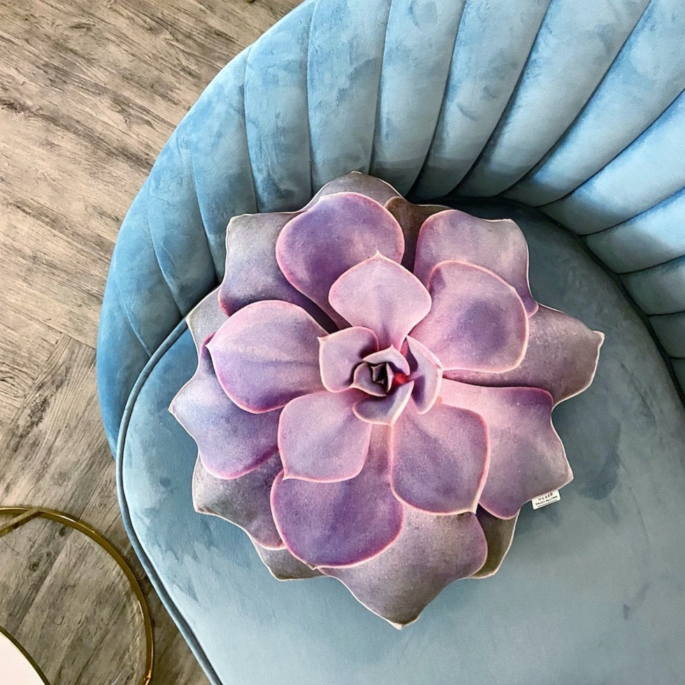 Succulent pillow