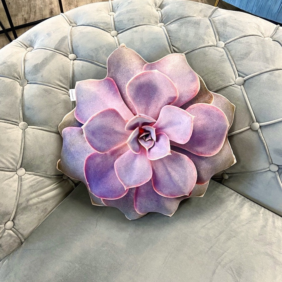 echeveria succulent pillow