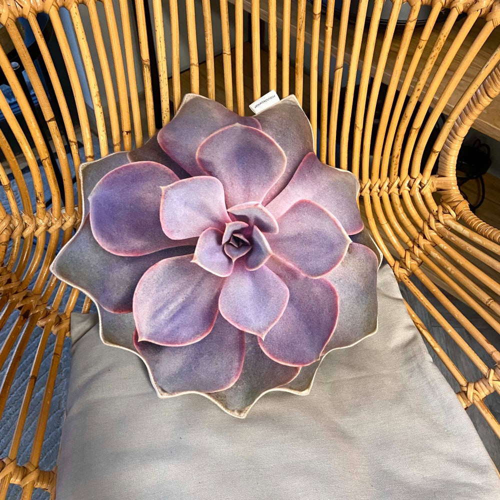 succulent echeveria pillow