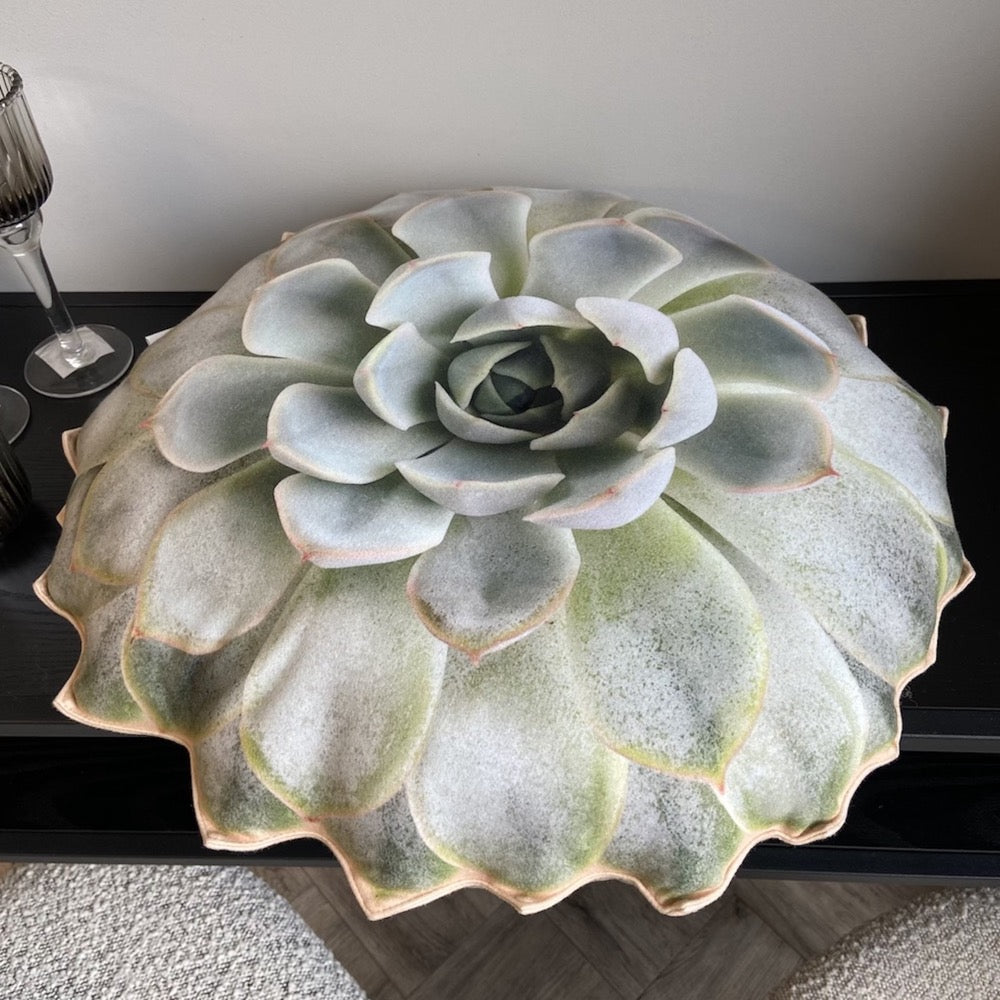 succulent cushion Succulent Echeveria pillow / plant pillow / bright Succulent cushion