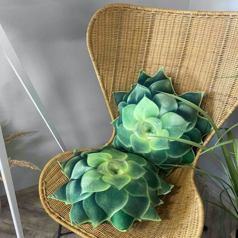 succulent pillows Succulent pillow / green succulent / echeveria pillow / succulent cushion