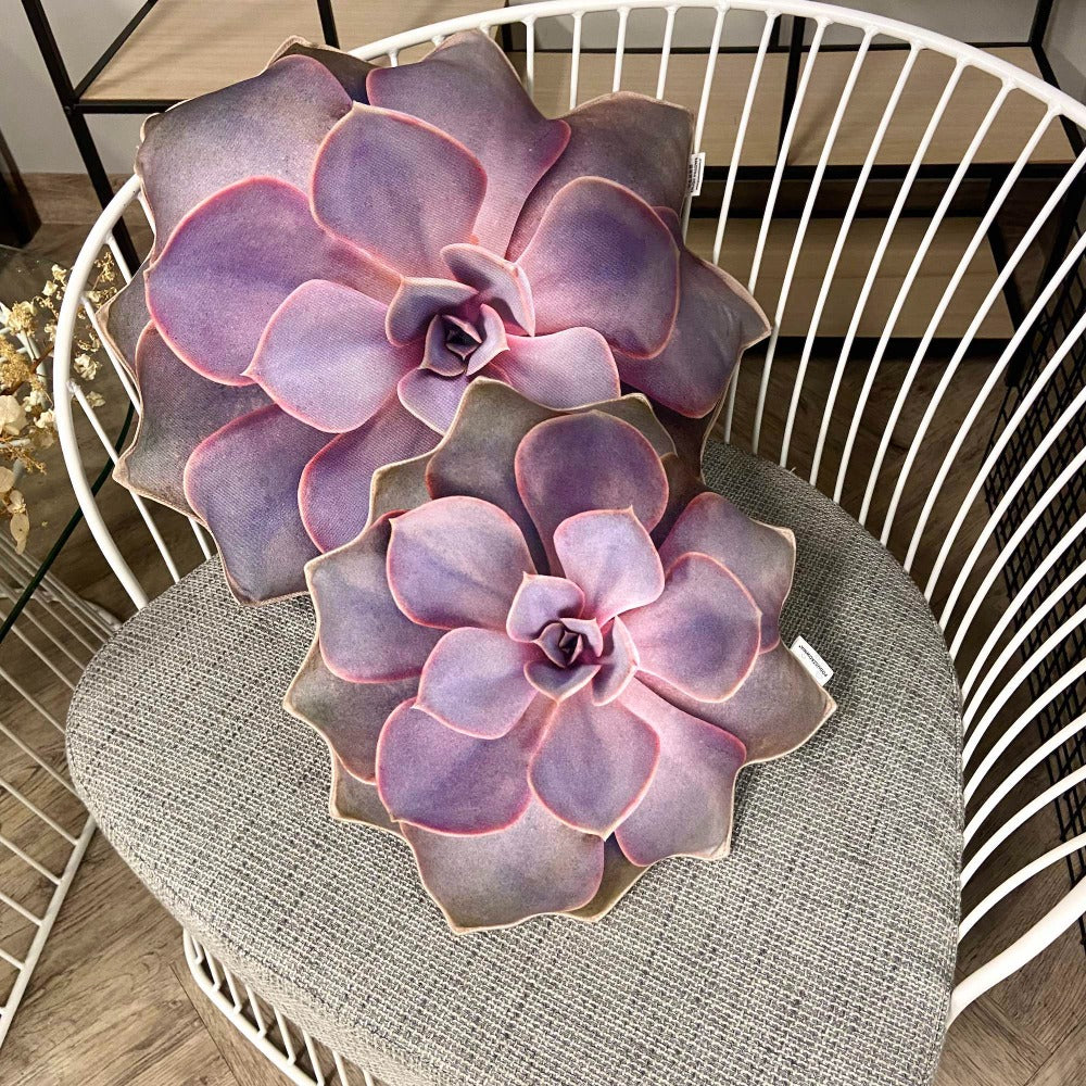 set succulent pillows