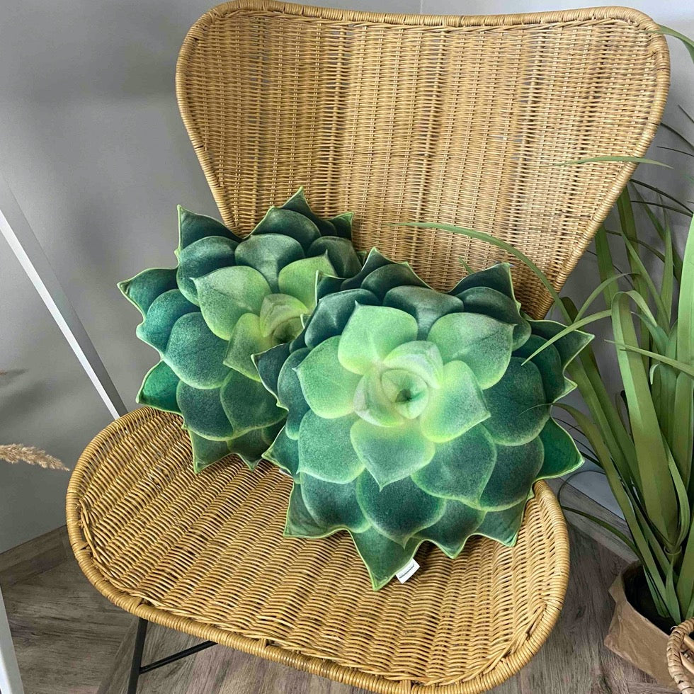 succulents realistic pillows enjoy pillows