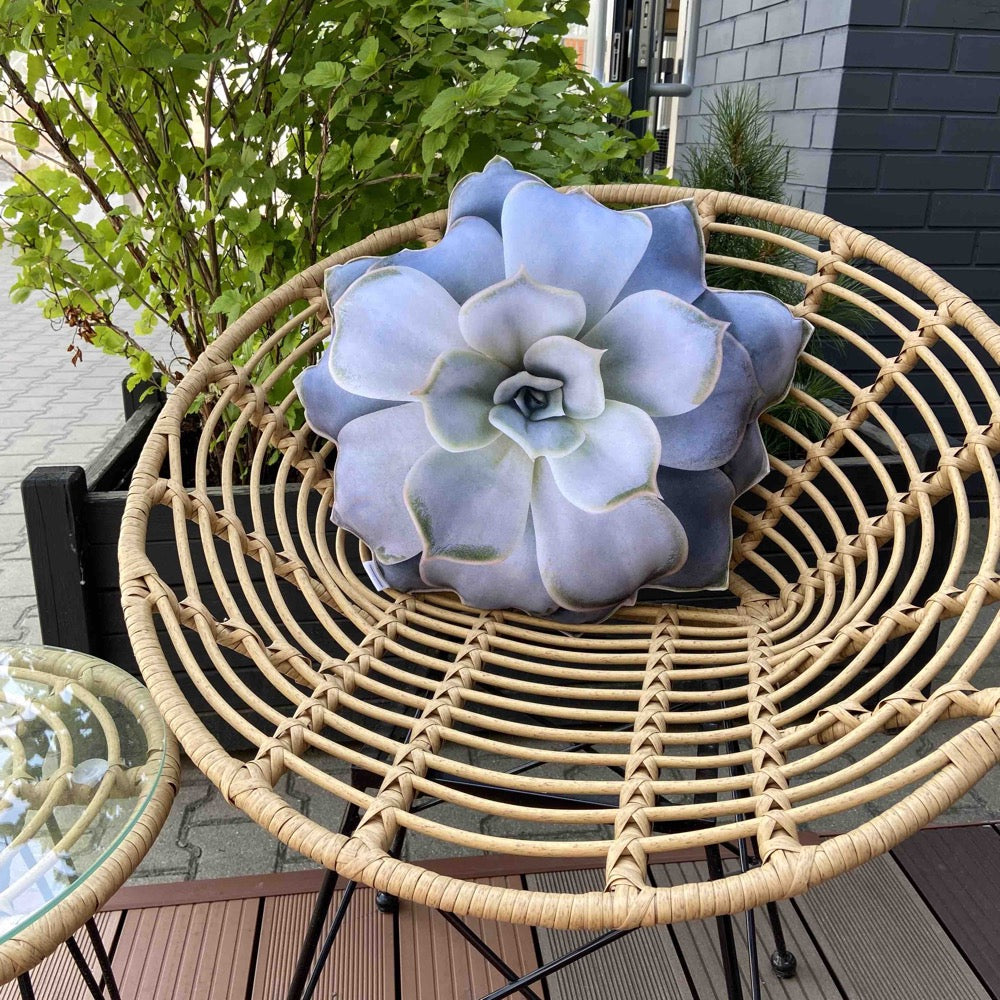  Garden succulent pillow