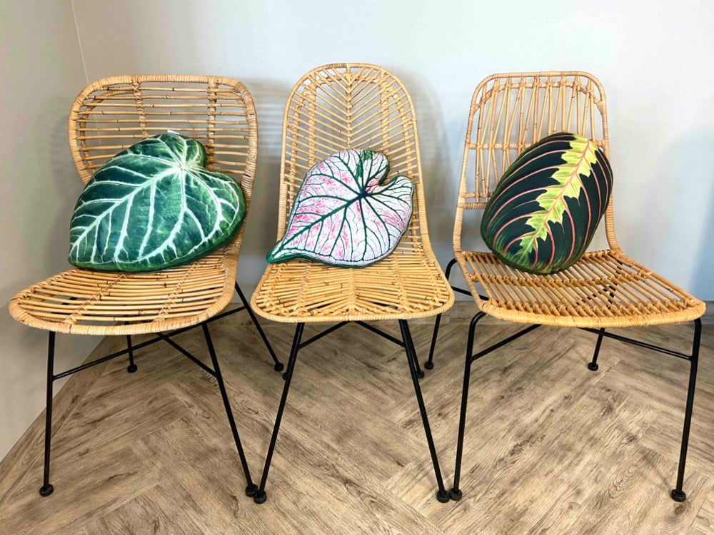 plant pillows collection