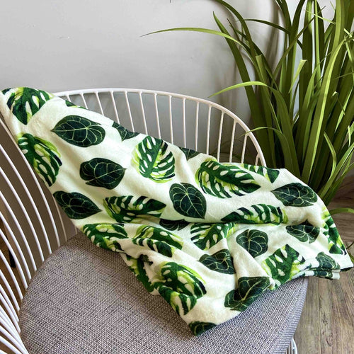throw blanket monstera