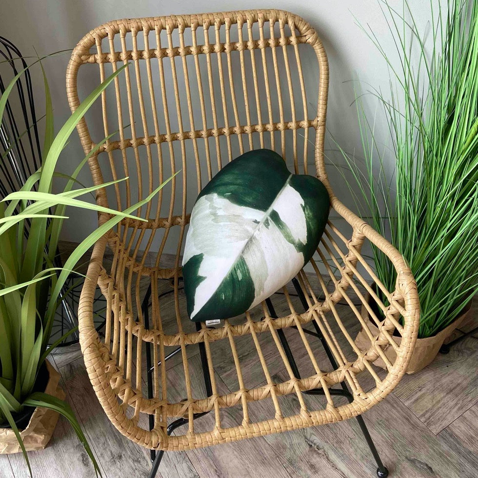 Philodendron White Princess leaf cushion