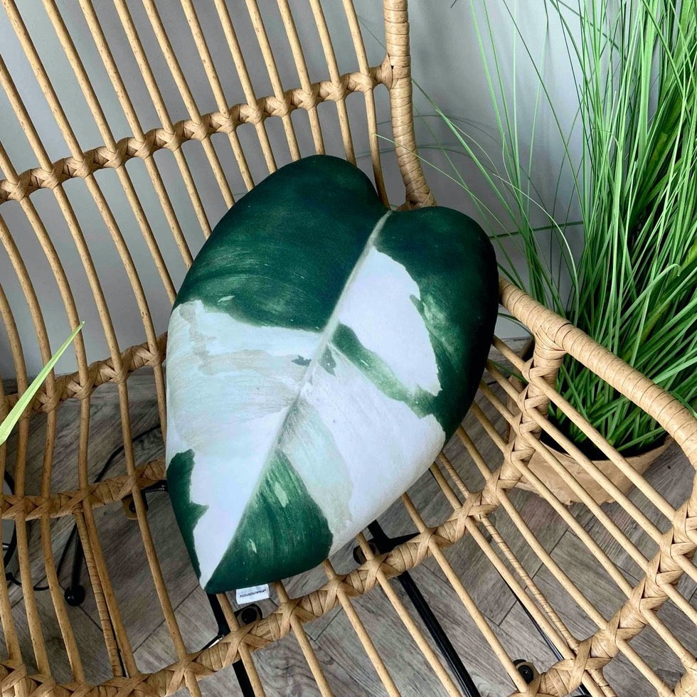 philodendron white knight pillow
