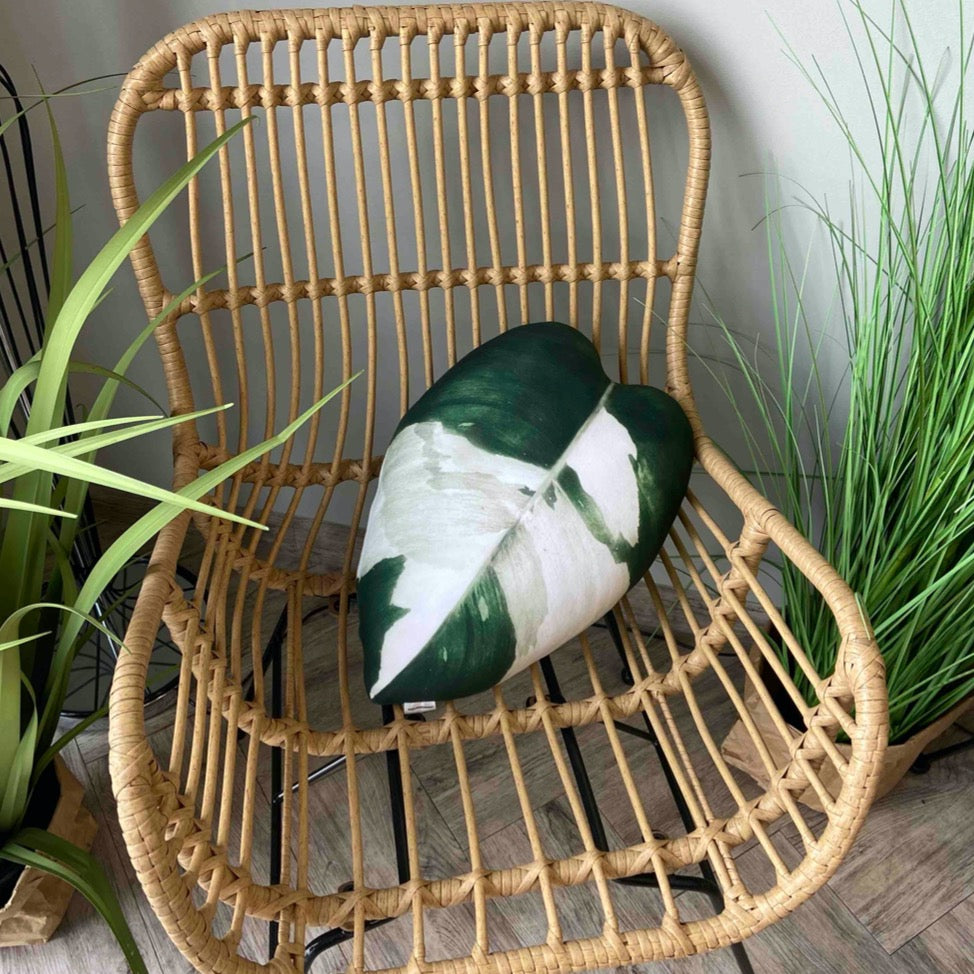 Philodendron White Princess plant pillow